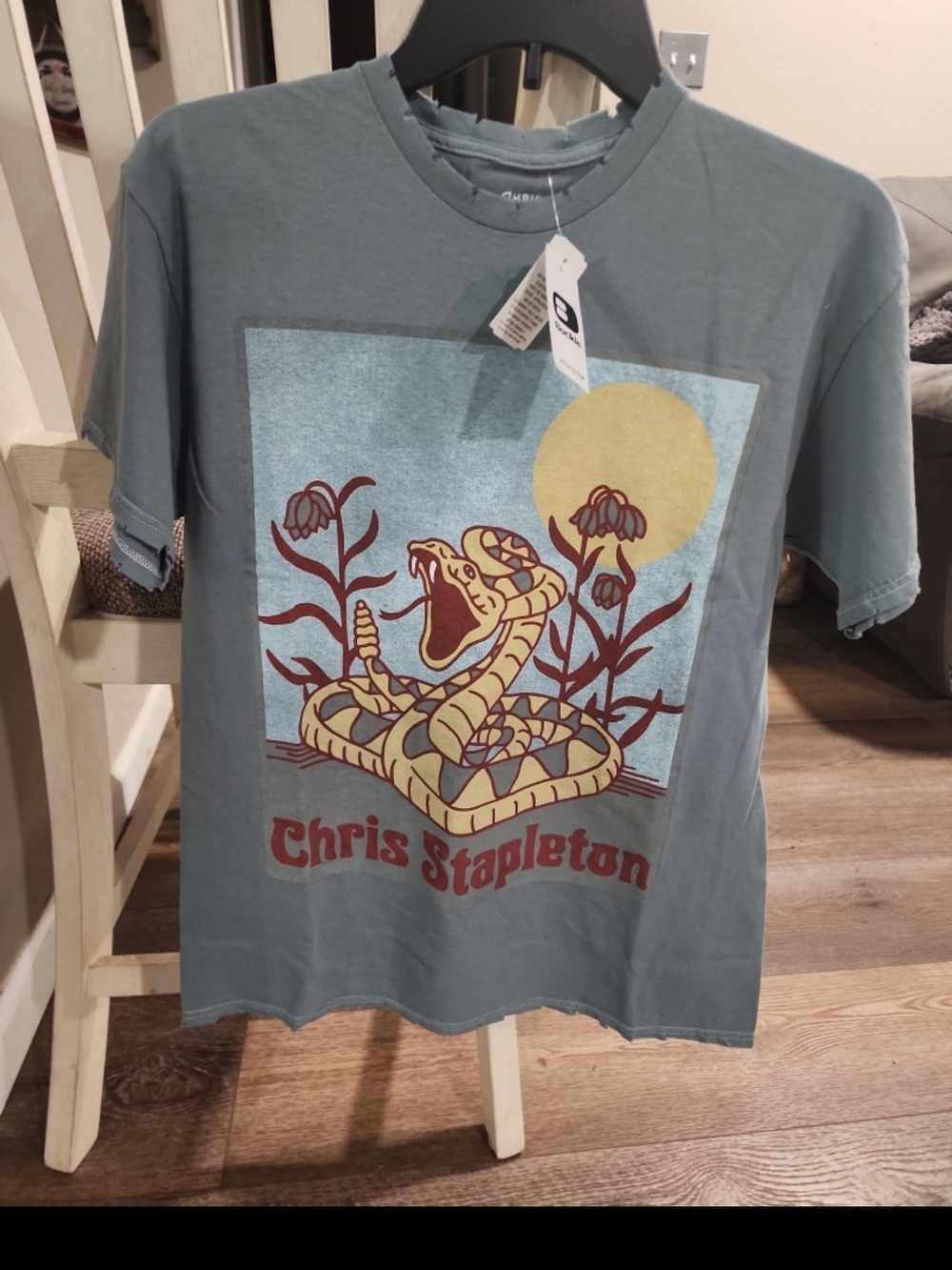 Buckle Chris Stapleton Slate Blue Tee  Snake Graphic